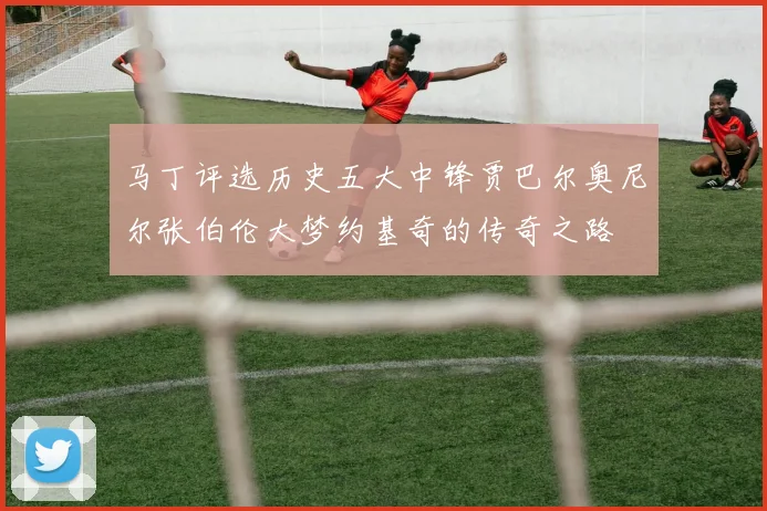 马丁评选历史五大中锋贾巴尔奥尼尔张伯伦大梦约基奇的传奇之路