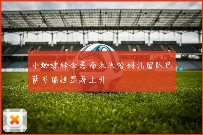小蜘蛛转会悬而未决哈姆扎留队巴萨可能性显著上升